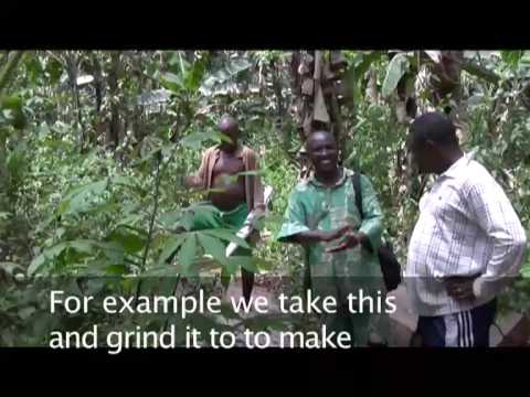 Cameroon - Baka People: Facing changes in African forests